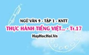 Soạn bài Thực hành tiếng Việt trang 17 Ngữ văn lớp 9 tập 1 Kết nối tri thức